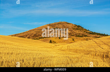 Washington, Palouse Region, Steptoe Butte State Park, wheat fields fall season after harvest Stock Photo