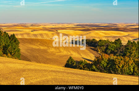 Washington, Palouse Region, view from Steptoe Butte State Park, wheat fields fall season after harvest Stock Photo