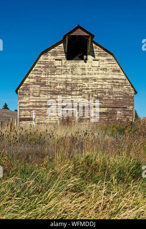 Washington, Palouse Region, Hwy 26, wooden barn, fall season Stock Photo