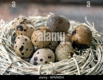 Five a day, healthy lifestyle options. Freshly collected Quail eggs. Stock Photo