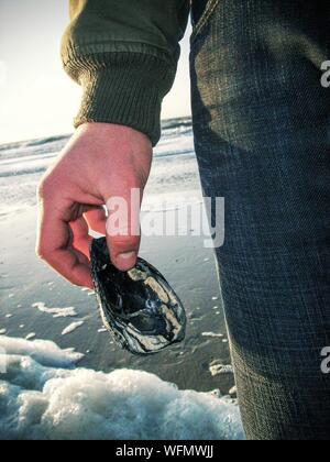 Midsection Of Man Holding Dead Clam At Beach