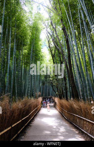 Tourists walk along a pathway through the Sagano bamboo grove in Arashiyama, Kyoto. Japan Stock Photo