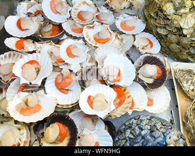 Raw opened shall fresh scallops on market counter. Stock Photo