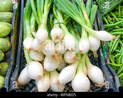 Spring Onions Salad Onions,Green Onions on the market Stock Photo