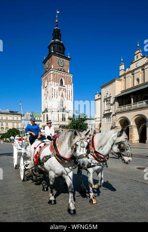 Poland, Voïvodie Lesser Poland, Krakow, Stare Miasto district, World Heritage Site, Old Town, Market Square, the Cloth Hall, horse drawn carriages in front of the Belfry Stock Photo