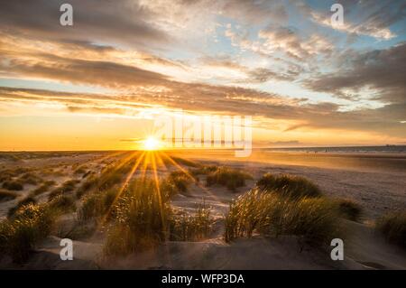 Denmark, North Jutland, the tip of Grenen is a strip of land located in the far north of Denmark, near the town of Skagen, it is the meeting point of two straits, Skagerrak and Kattegat, here at sunset Stock Photo