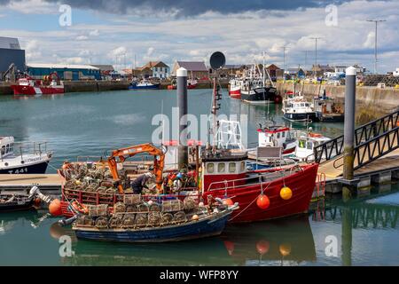 Ireland, Fingal County, Northern Dublin Suburbs, Howth, Fishing harbor