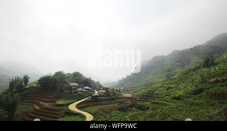 view over Sapa landscape with rice fields and houses.  planting rice plants in  Terrace rice paddy in Vietnam. Vietnamese agriculture and rice product Stock Photo