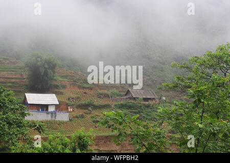 view over Sapa landscape with rice fields and houses.  planting rice plants in  Terrace rice paddy in Vietnam. Vietnamese agriculture and rice product Stock Photo