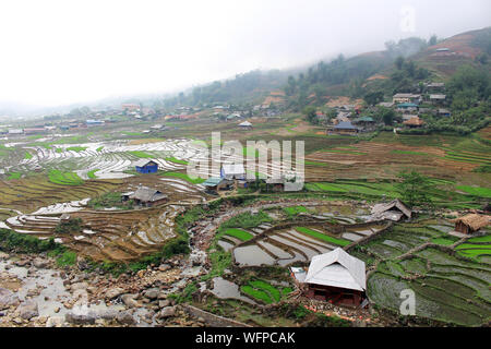 view over Sapa landscape with rice fields and houses.  planting rice plants in  Terrace rice paddy in Vietnam. Vietnamese agriculture and rice product