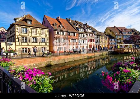 France, Haut Rhin, Alsace Wine Road, Colmar, La Petite Venise district, traditional half-timbered houses, quai de la Poissonnerie