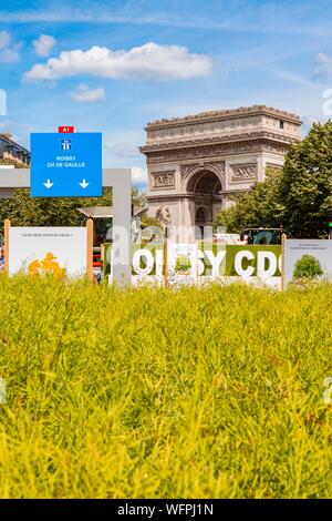 France, Paris, the entirely pedestrian avenue Foch, BiodiversiTerre project, a 10,000 m² plant artwork by artist Gad Weil from 3rd to 5th of June 2017 Stock Photo