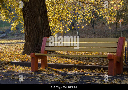Yellow lonely bench in the autumn park under the crown of a yellowed tree and against the background of fallen leaves. Stock Photo