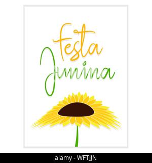 Festa junina background with some special objects, vector illustration design Stock Vector