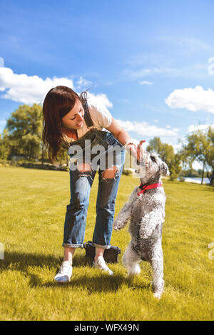 Caucasian woman trains and feeds her beloved dog in the park. Stock Photo