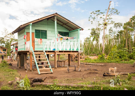 Elevated House Built on Pillars in the Amazon Rain Forest Stock Photo