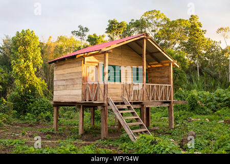 Elevated House Built on Pillars in the Amazon Rain Forest Stock Photo