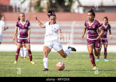 Vans 2024 feminino 2019