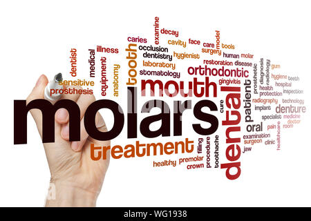 Molars word cloud concept Stock Photo