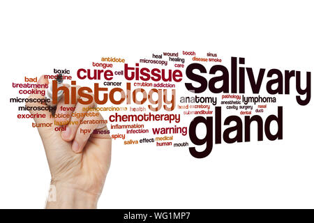 Salivary gland word cloud concept Stock Photo