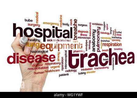 Trachea word cloud concept Stock Photo