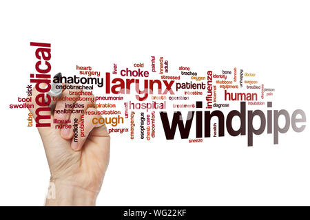Windpipe word cloud concept Stock Photo
