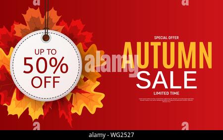 Shiny Autumn Leaves Sale Banner. Business Discount Card. Vector Illustration Stock Vector