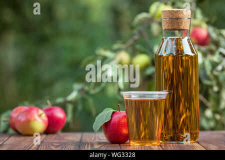 apple juice in disposable plastic cup and bottle with ripe fruits on wooden table outdoors. Take away glass with summer refreshing drink Stock Photo