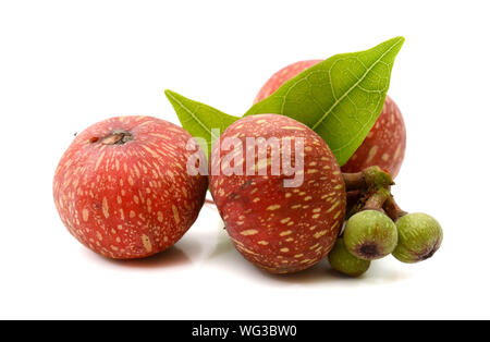 Fresh figs isolated on a white background Stock Photo