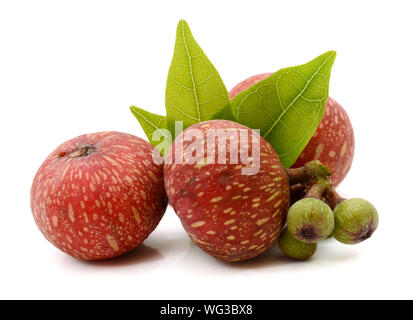 Fresh figs isolated on a white background Stock Photo