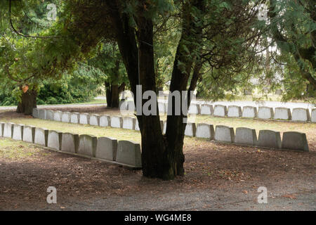 Line of graves at defence forces cemetery in Tallinn Estonia Stock Photo