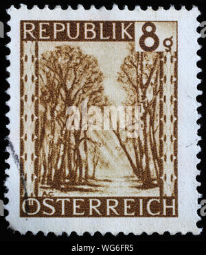 Stamp printed in Austria shows The Praterallee, Vienna, series, circa 1945. Stock Photo