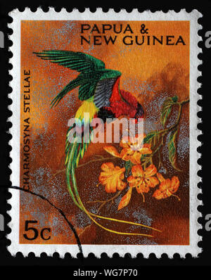 Stamp from Papua New Guinea shows Papuan Lorikeet (Charmosyna papou stellae), issued in 1967. Stock Photo