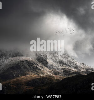 Stunning moody dramatic Winter landscape image of snowcapped Tryfan mountain in Snowdonia during stormy weather with birds flying high above Stock Photo