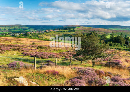 Summer in the North York Moors National Park in Yorkshire, looking out across the moor to the village of Castleton