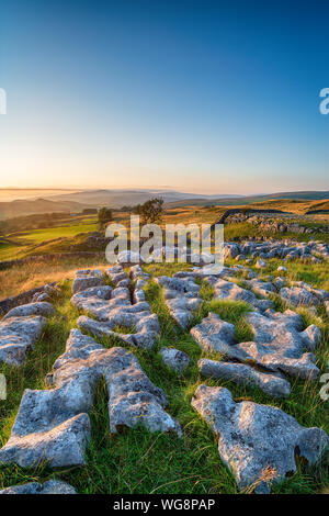 A limestone pavement at the Winskill Stones near Settle in the Yorkshire Dales Stock Photo
