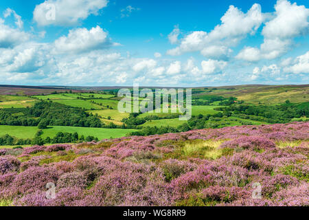 The view from Castleton in the North York Moors, looking out to Commondale Moor Stock Photo