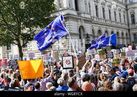 Whitehall, London, UK 31 Aug 2019 -  Thousands of protesters joined the Stop the Coup, Defend DemocracyÕ protest outside Downing Street in Central London.  Credit: Dinendra Haria/Alamy Live News Stock Photo