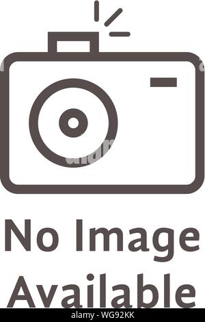black linear photo camera logo like no image available Stock Vector