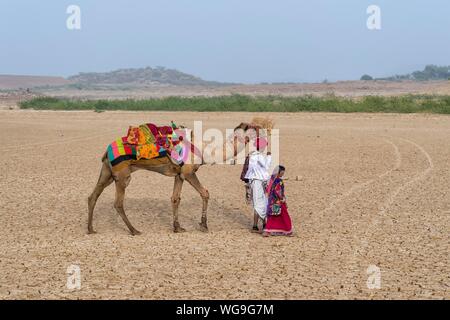 Rabari tribe people walking in the desert with a dromedary, Great Rann of Kutch, Gujarat, India Stock Photo