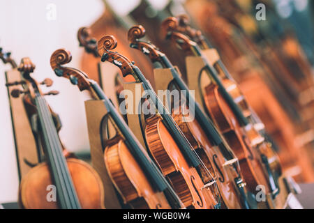 Details with parts of violins before a symphonic classical concert Stock Photo