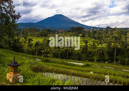Rice fields of Jatiluwih in southeast Bali, Indonesia Stock Photo