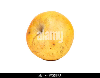Sluggish yellow apple isolated on white background Stock Photo