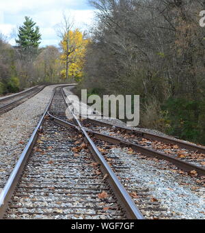 Railroad Tracks On Field Amidst Trees