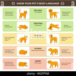 Cat and dog body language comparison, educational infographic chart. Feline and canine emotions and behavior. Cute cartoon vector illustration, printa Stock Vector