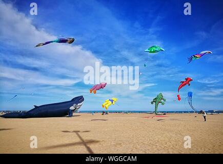 Multi Colored Kites Flying Over Beach Against Sky