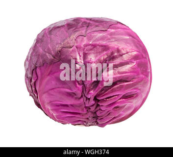head of ripe red cabbage isolated on white background Stock Photo