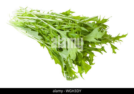 bunch of green mizuna (Japanese mustard greens) plant isolated on white background Stock Photo