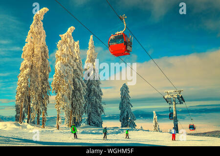 Picturesque snow covered trees and winter ski resort with colorful fast cable cars. Skiers on the ski slope in Poiana Brasov famous ski resort, Transy Stock Photo