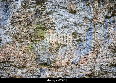 Cliff of Rock Background. Stone Mountain Texture Background Stock Photo